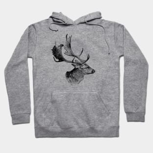 Fallow deer Hoodie